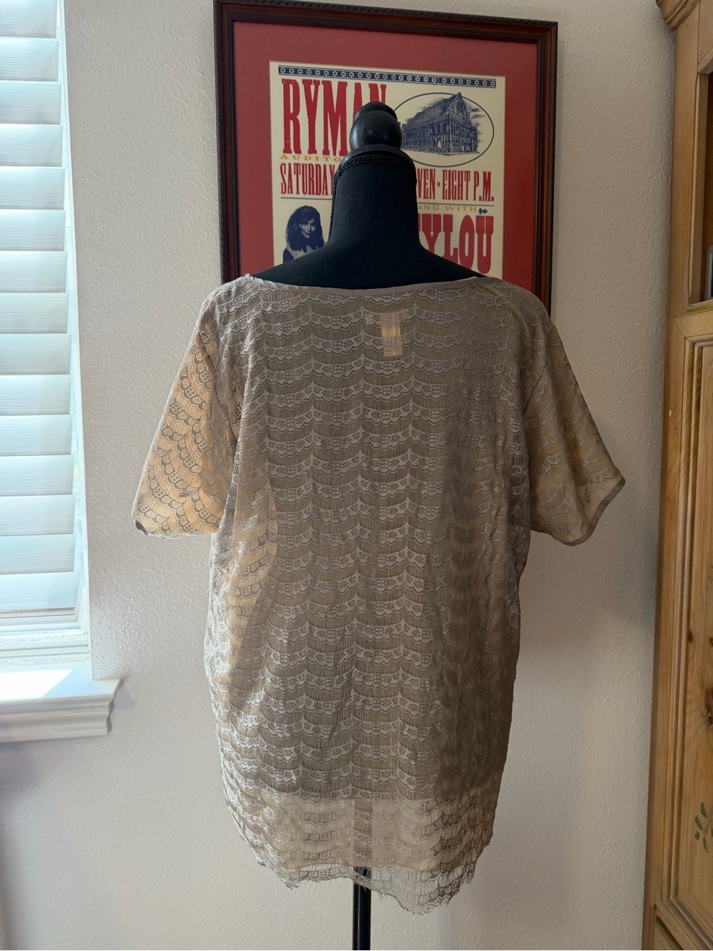 Sheer Silver Blouse - Picture 2 of 5